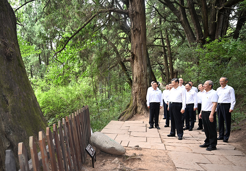 7月25日至27日，中共中央總書記、國(guó)家主席、中央軍委主席習近平在四川考察。這(zhè)是25日下午，習近平在廣元市劍閣縣翠雲廊考察。